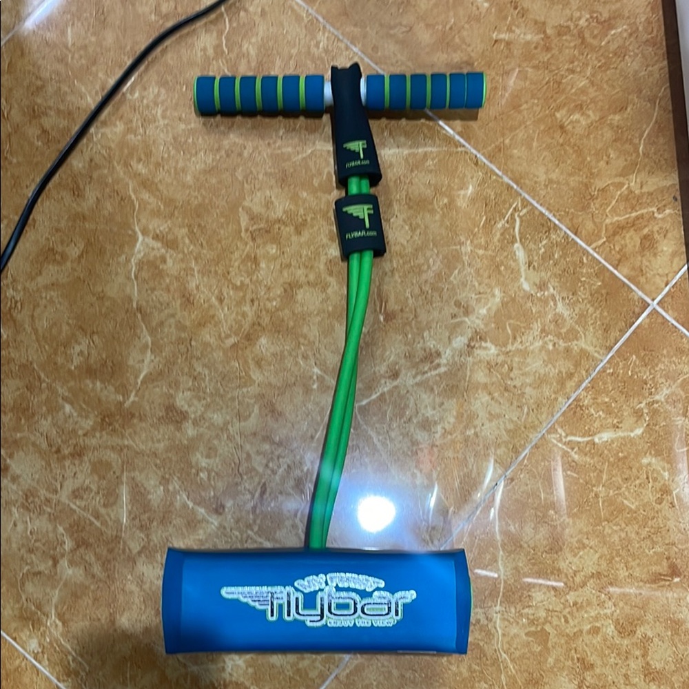 Flybar Blue and Green Pogo Stick